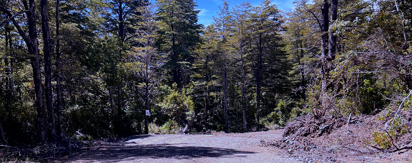 Sector de Arboles en Terreno en Los-Nevados-P-86 (Rol: 02000-00366)