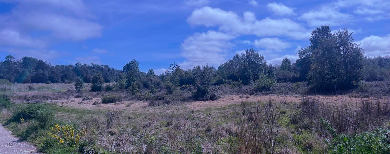 Terreno en San Cristóbal, Km 10,5, V-50, P-13, Rol (01407-00061) Opportunity